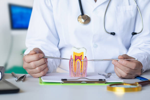 Best Emergency Root Canal Treatment in Fort Ashby, WV